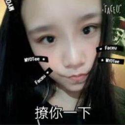 墨子女朋友爆料视频在线观看,揭秘背后惊人真相